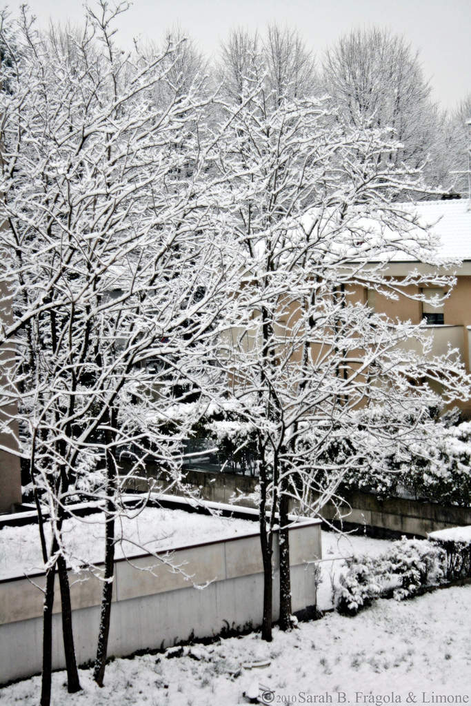 neve di marzo