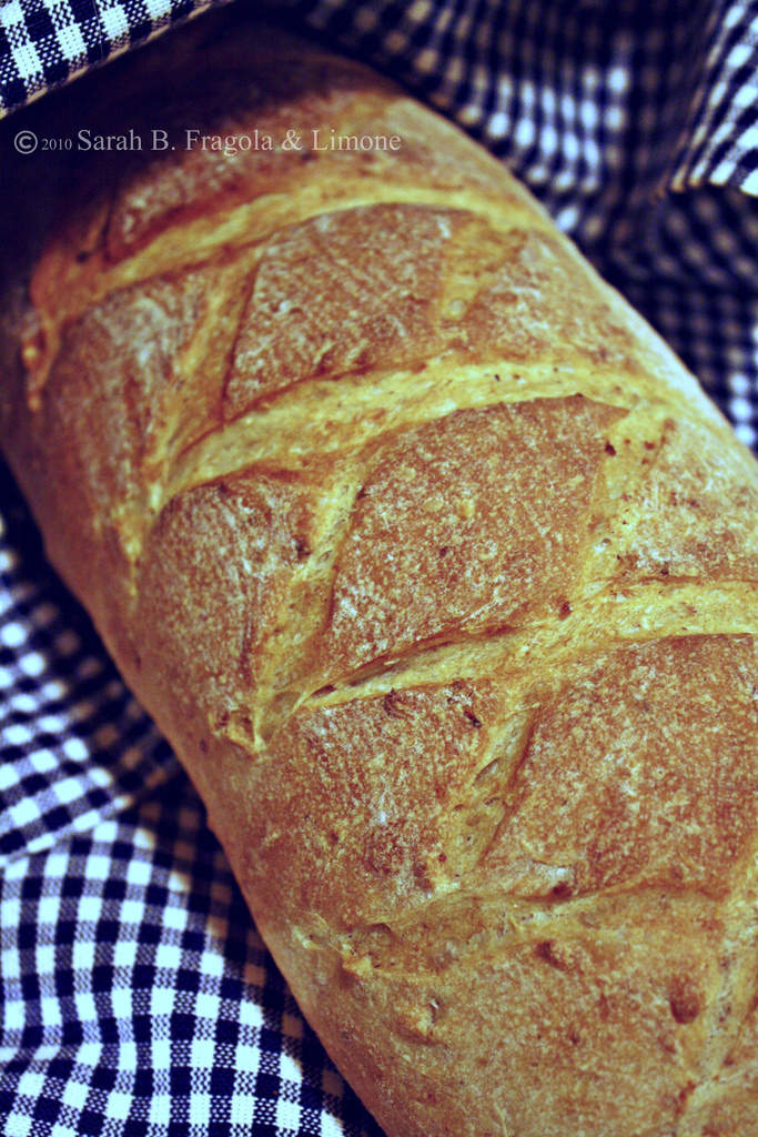 pane cotto intero 1 credit