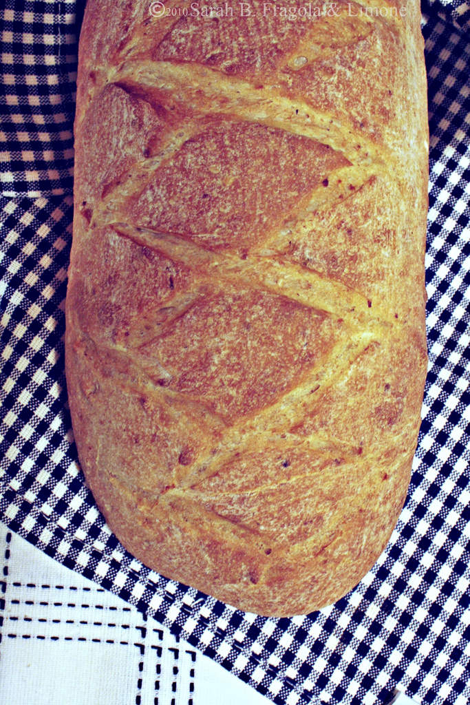 pane cotto intero credit