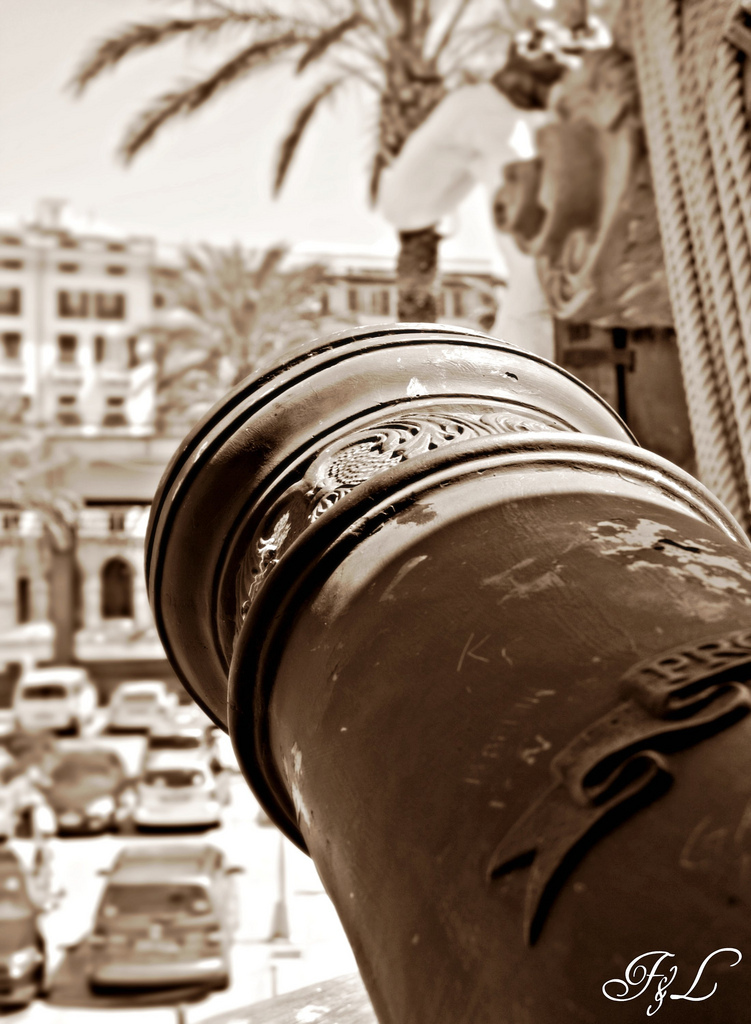 GENOVA 7
