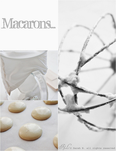 collage macarons