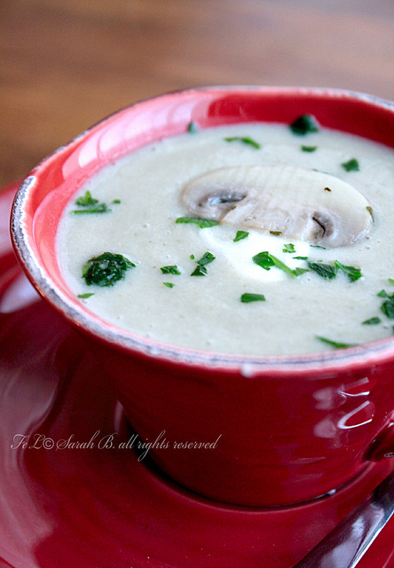 zuppa funghi 005editededited