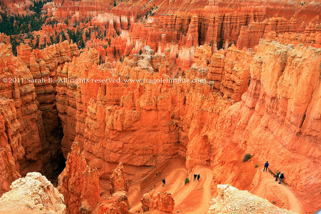 amphitheatre a Bryce canyon blog