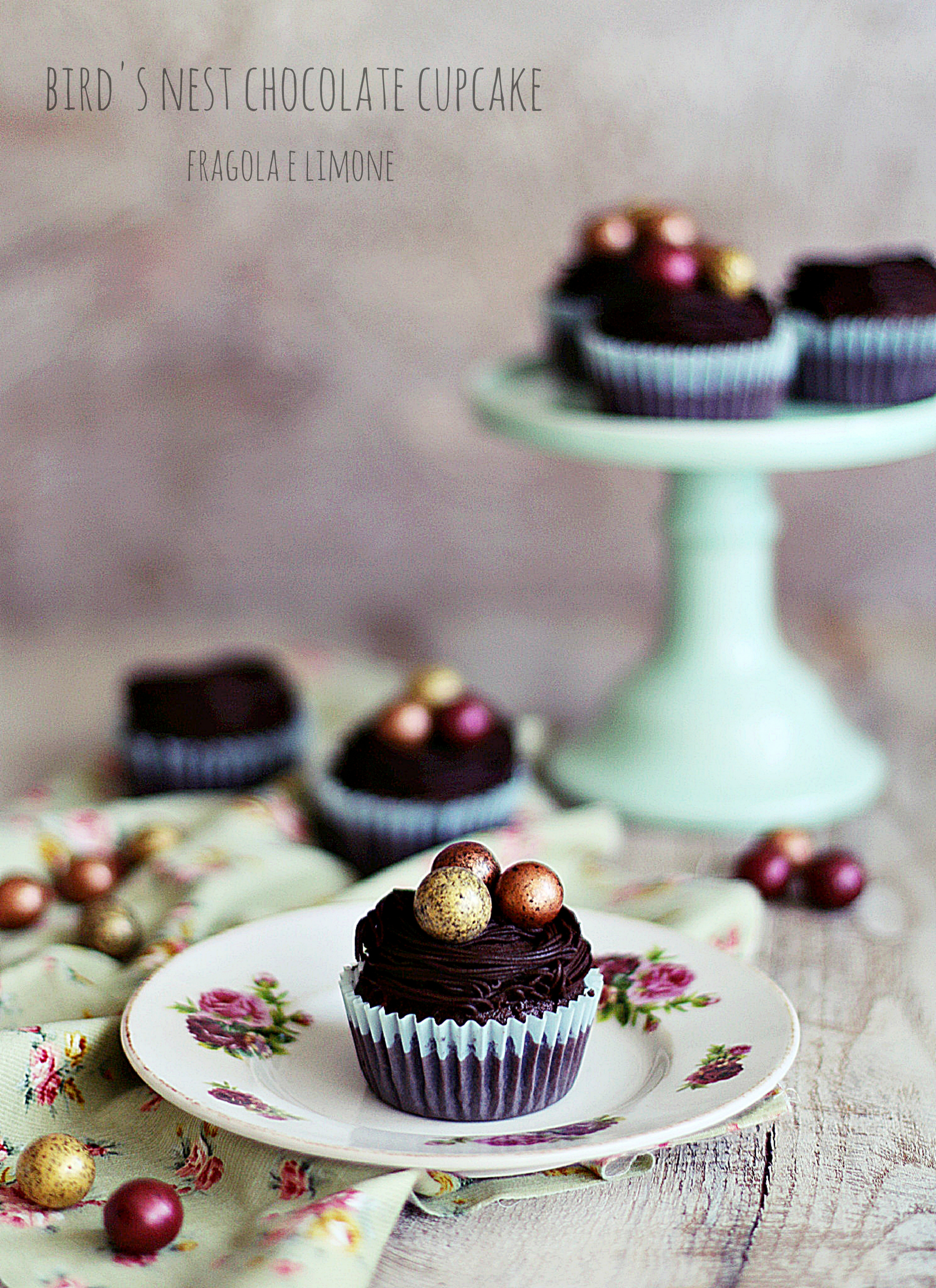 bird's nest chocolate cupcakes (3)